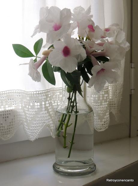 ¿Dónde colocas tus flores?