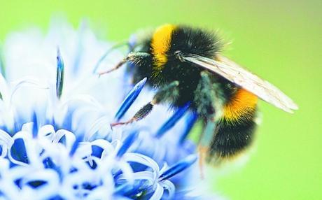 image_content_3322806_20150705175748