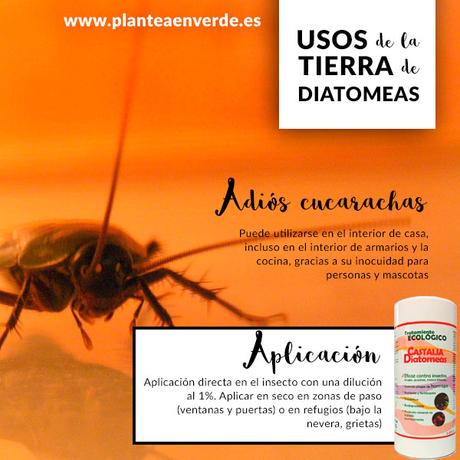 tierra de diatomeas contra cucarachas