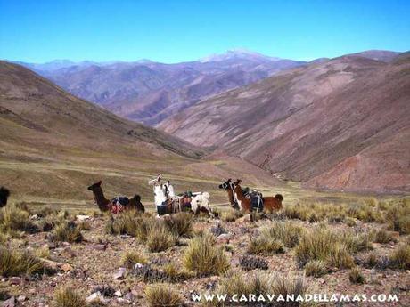 Los 10 artículos de Argentina Live más visitados durante el mes de Junio de 2015.