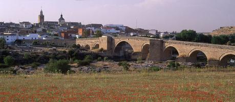 El Combate de Puente de Arzobispo durante la Guerra de la Independencia