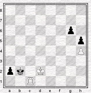 Problemas de ajedrez: Salvio, 1604