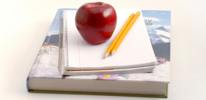 Blogs literarios y contenidos de calidad.