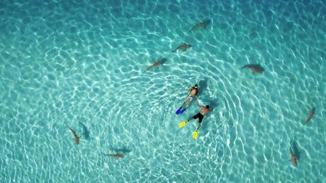 #Dronestagram 2015| El concurso de fotografias de drones