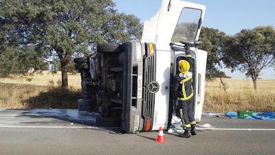Un herido leve al volcar un camión cargado de flores en la carretera CM-415 en Saceruela