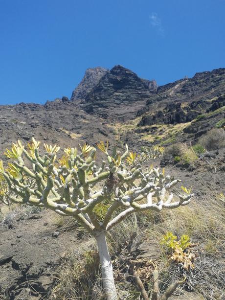 Faneroque visto desde el camino hacia la playa del mismo nombre