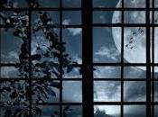 Desde ventana...
