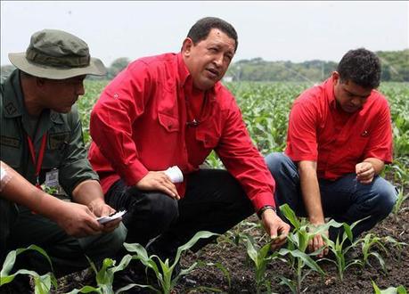 Esta crisis debe constituirse en una oportunidad para transformar los modos de producción, distribución y de consumo de la sociedad venezolana.