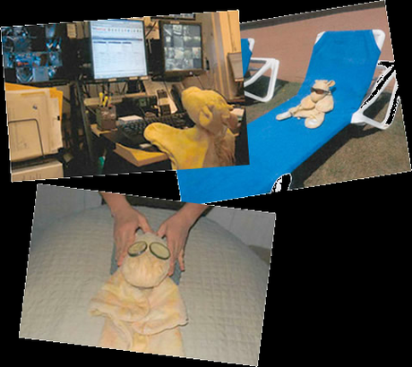 Memoria emocional: Experiencia de cliente (Customer experience)