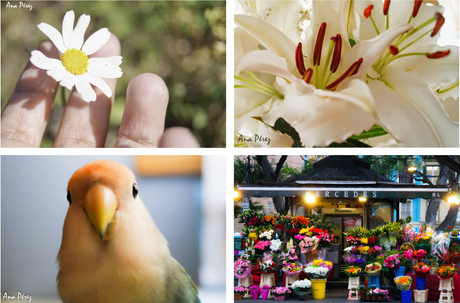 ASweetWinter-Undecima-Colaboradora-Cumpleblog2 ASweetWinter-Undecima-Colaboradora-Cumpleblog2