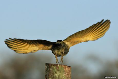 3, 2, 1, lift-off!
