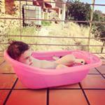 Femibion Pronatal, complemento para cada etapa del embarazo Femibion Pronatal, complemento para cada etapa del embarazo