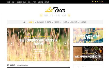 Mis plantillas de pago favoritas para WordPress (by @maxcf)