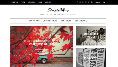 Mis plantillas de pago favoritas para WordPress (by @maxcf)