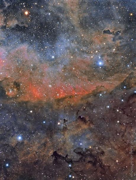 Nubes y estrellas en Cygnus
