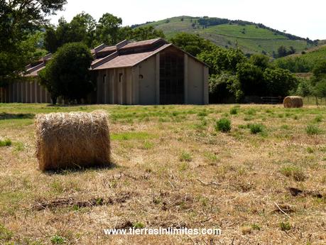 Paulilles, una cala explosiva.