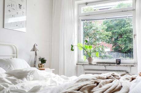 Todo a los NEUTROS!!! ¿Si o No?