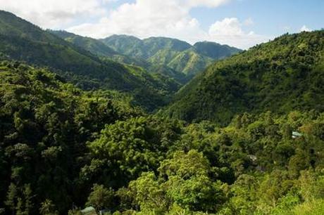 Las Montañas Azules y de John Crow de Jamaica fueron designadas Patrimonio Mundial