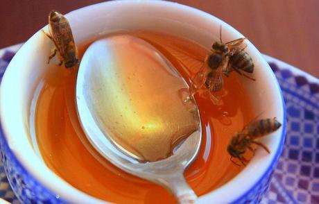 Miel para la gripe y el resfriado - Honey for colds and flu.