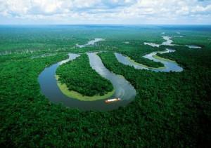 Amazonia