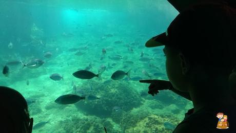 Planes-con-ninos-turismo-familiar-Benidorm