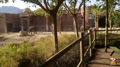 Planes-con-ninos-turismo-familiar-Benidorm