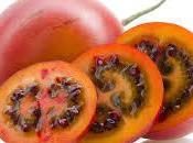 Tomate árbol, autóctono zona andina