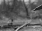 Como conseguir hijo crezca independiente