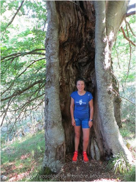 Ruta running por la hoces del Ebro, entre Orbaneja del Castillo (Burgos) y Villaescusa de Ebro (Cantabria)