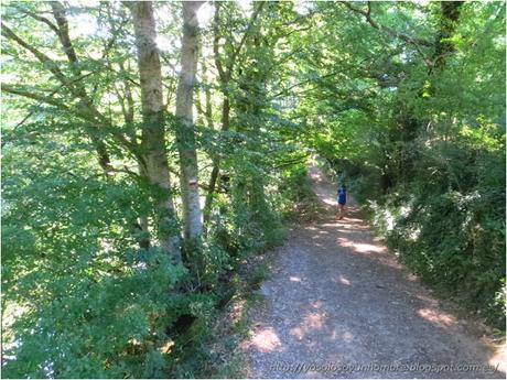 Ruta running por la hoces del Ebro, entre Orbaneja del Castillo (Burgos) y Villaescusa de Ebro (Cantabria)