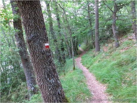 Ruta running por la hoces del Ebro, entre Orbaneja del Castillo (Burgos) y Villaescusa de Ebro (Cantabria)