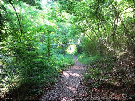 Ruta running por la hoces del Ebro, entre Orbaneja del Castillo (Burgos) y Villaescusa de Ebro (Cantabria)