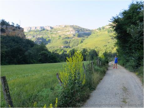 Ruta running por la hoces del Ebro, entre Orbaneja del Castillo (Burgos) y Villaescusa de Ebro (Cantabria)