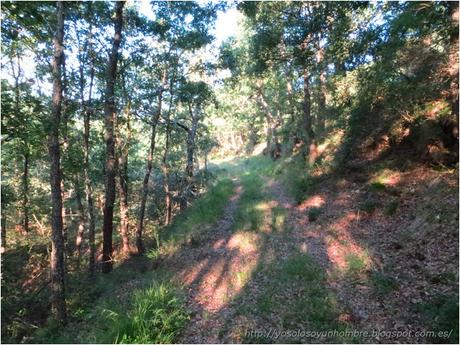Ruta running por la hoces del Ebro, entre Orbaneja del Castillo (Burgos) y Villaescusa de Ebro (Cantabria)