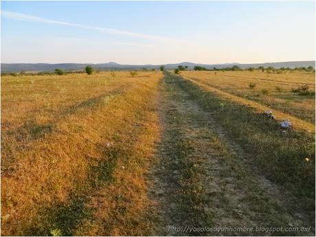 Ruta running por la hoces del Ebro, entre Orbaneja del Castillo (Burgos) y Villaescusa de Ebro (Cantabria)