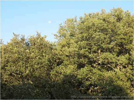 Ruta running por la hoces del Ebro, entre Orbaneja del Castillo (Burgos) y Villaescusa de Ebro (Cantabria)