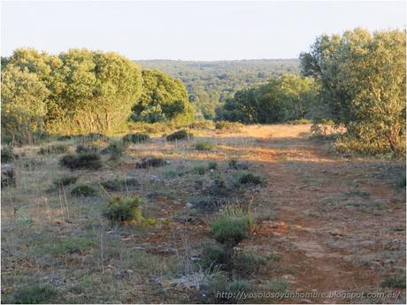 Ruta running por la hoces del Ebro, entre Orbaneja del Castillo (Burgos) y Villaescusa de Ebro (Cantabria)