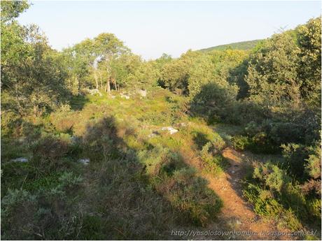 Ruta running por la hoces del Ebro, entre Orbaneja del Castillo (Burgos) y Villaescusa de Ebro (Cantabria)