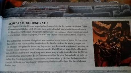 Unbox de Age of Sigmar,por Lady Atia