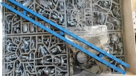 Unbox de Age of Sigmar,por Lady Atia