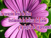 fiesta llevamos dentro