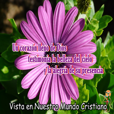 La fiesta que llevamos dentro