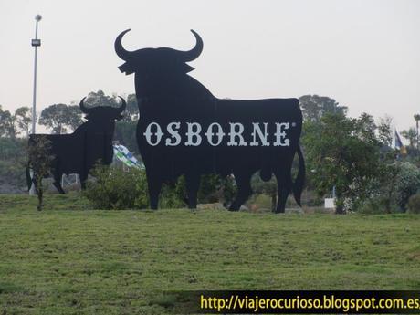 El Toro curioso del Puerto de Santa María