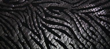 blog solo yo, solo yo, blog de moda, lenceria, moda, ropa baño, moda baño, bikinis con relleno, padded bras, pusp up, divissima, tanga, jeans, traje de baño, short, g-string brasileño, pareo, bikini efecto nude, hot pant,