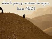 Lugares desiertos