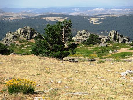 CUEVA VALIENTE (y II)