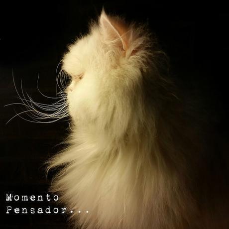 estamos tan agustito