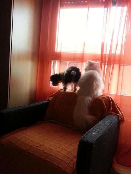 Dime de que presumes... Los Curiosos #fotografia Androidografia Barakaldo 1436