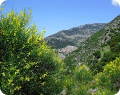 Calabria un oasis de virginidad y viejos valores entre los valles salvajes del Aspromonte y el “bosque encantado” de la Sila.