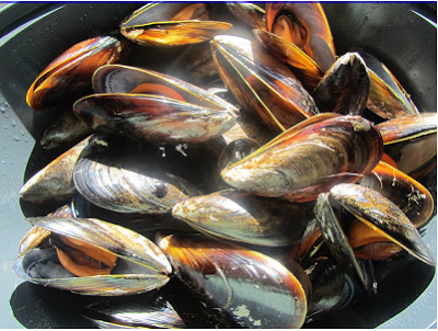 Tigres de mejillón